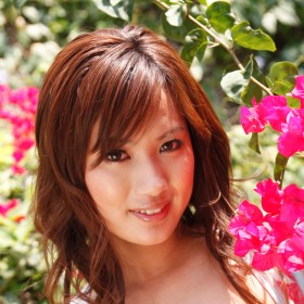 女優写真 画像:女優写真