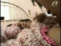 画像：プレビュー