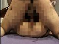 画像：プレビュー