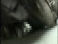 画像：プレビュー