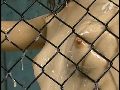 画像：プレビュー