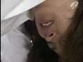画像：プレビュー