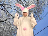 画像：プレビュー