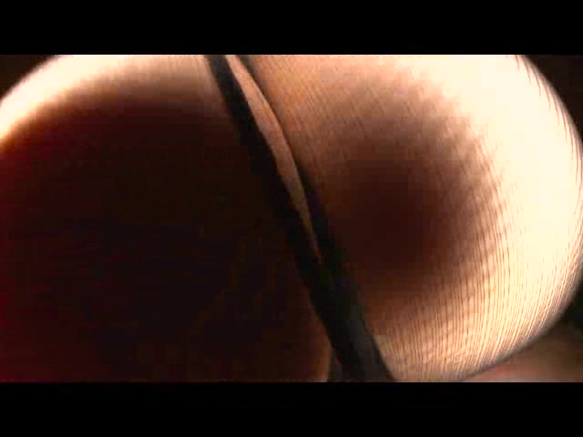 画像：プレビュー