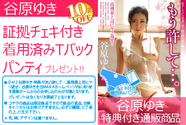 画像：パッケージ写真