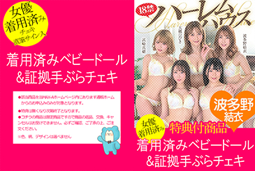 画像：パッケージ写真
