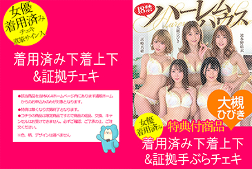 画像：パッケージ写真
