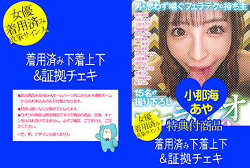 画像：パッケージ写真
