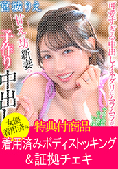 画像：パッケージ写真