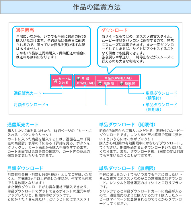 画像：図